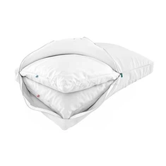 Cás Pillow Silk Banríona